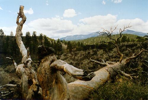 Sunset Crater