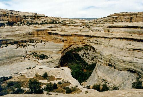 Natural Bridges