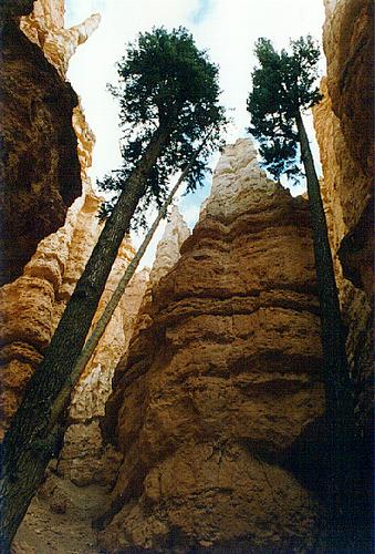 Bryce Canyon 3