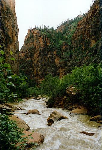 Zion NP