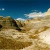 Petrified Forest